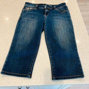 INC regular fit Jean, size 4